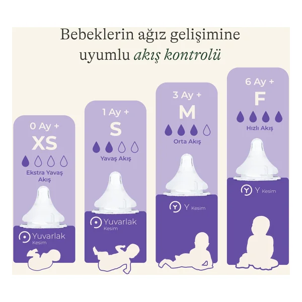 Lansınoh Naturalwave 2'li Biberon Emziği Hızlı Akışlı (6 Ay+) - Görsel 2