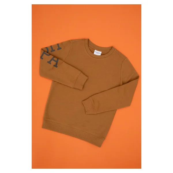 U.S. Polo Assn 50313831-Vr244 Sarı Çocuk Sweatshirt - Görsel 7