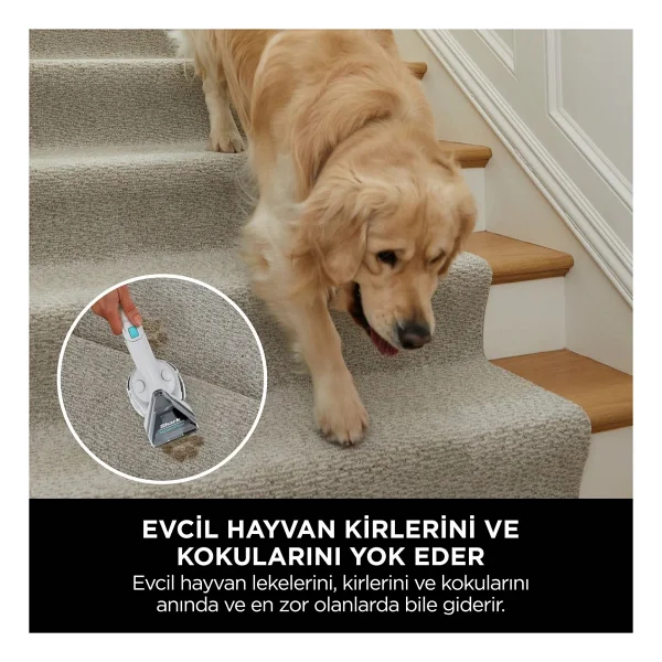 Shark Ultra Clean Koltuk Yıkama Ve Leke Çıkarma Makinesi Pet Başlıklı Yatay Süpürge - Siyah - Görsel 2