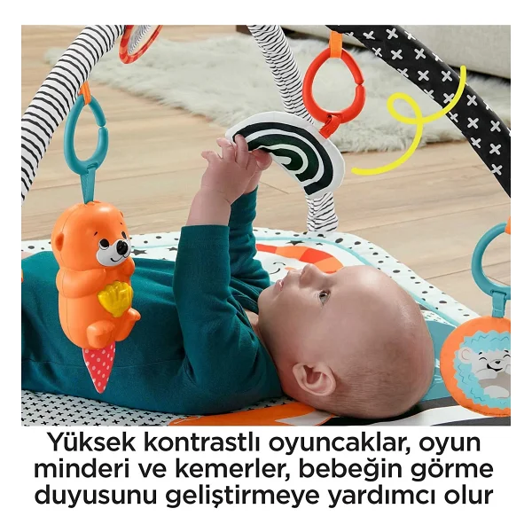 Fisher Price Neşeli Hayvanlar 3'ü 1 Arada Jimnastik Merkezi - Görsel 9