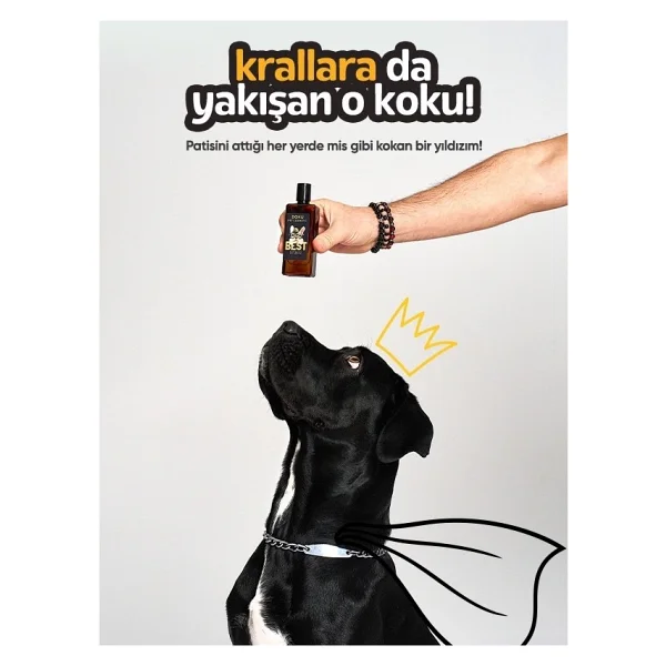 Doku Pet Cosmetic Kedi Ve Köpek Parfümü 50 Ml - Görsel 5