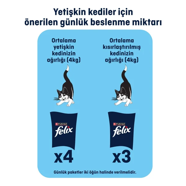 Felix Karışık 85 Gr 104'lü Yetişkin Kedi Yaş Maması - Görsel 9