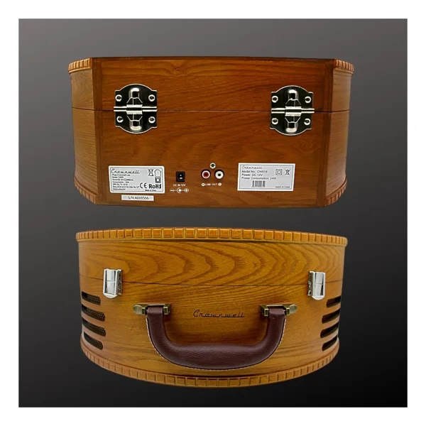 Crown Well Cw019 Lion Çantalı Retro Pikap - Görsel 3