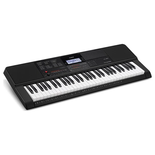 Casio Ct-X700 61 Tuşlu Org - Görsel 3