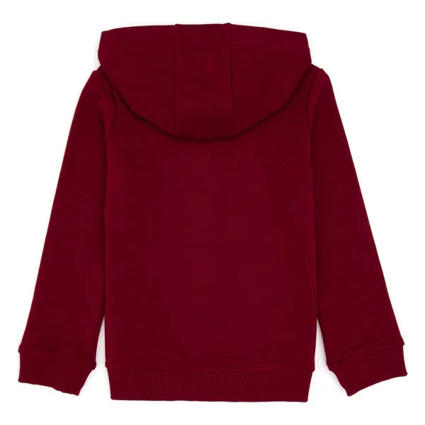 U.S. Polo Assn 50316837-Vr014 Kapüşonlu Tam Fermuarlı Bordo Çocuk Sweatshirt - Görsel 4