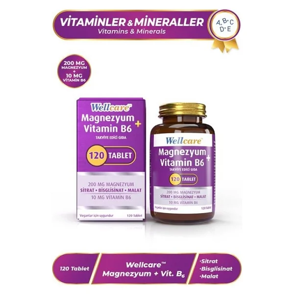 Wellcare Magnezyum + Vitamin B6 120 Tablet - Görsel 4