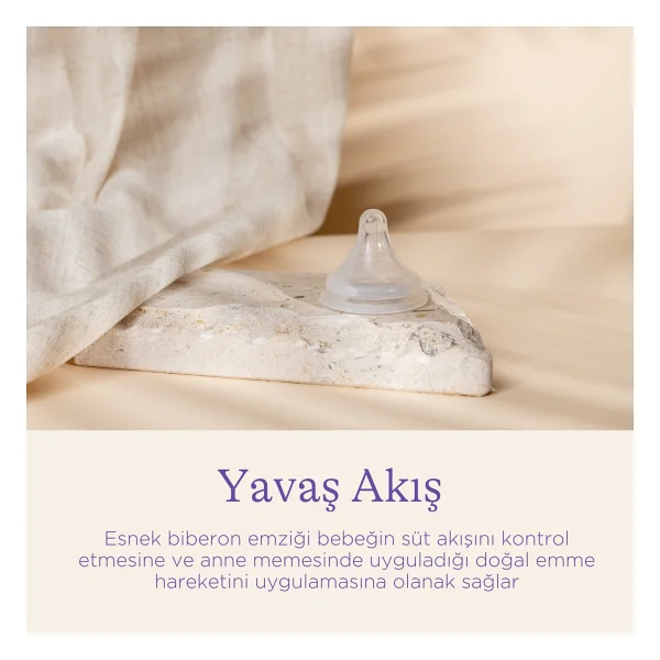 Lansinoh Naturalwave 2'li Biberon Emziği Yavaş Akışlı (1 Ay+) - Görsel 4