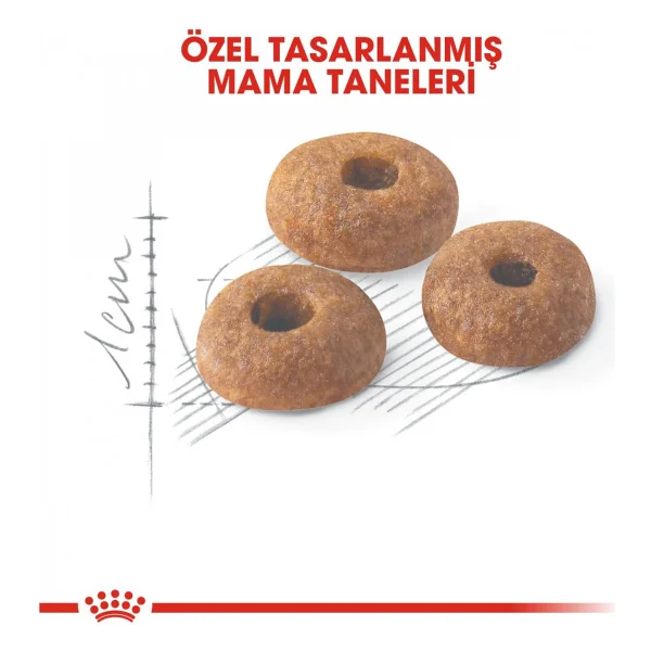Royal Canin Fit 32 10 Kg Yetişkin Kedi Maması - Görsel 5