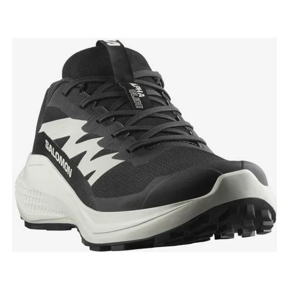 Salomon Alphaglide Erkek Koşu Ayakkabısı - Görsel 5