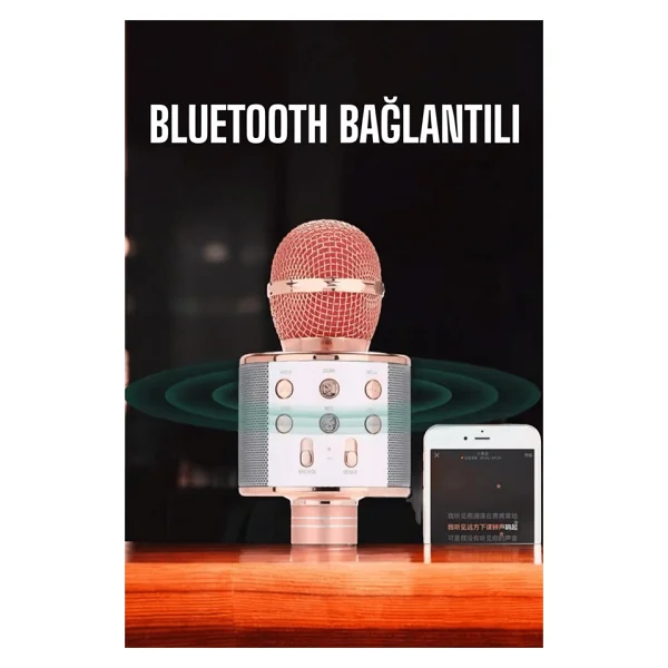 Teknodayım Kablosuz Bluetooth Karaoke Mikrofon USB Ve Aux Girişli, Yüksek Ses Kalitesi - Adaçayı Yeşili - Görsel 5