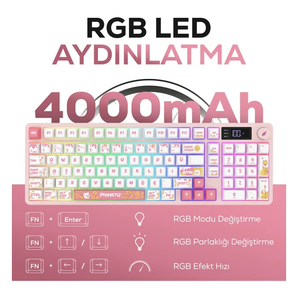 Hawk Gaming Hk258 Beyaz-Pembe RGB Membrane Switch Kablolu/Kablosuz Oyuncu Klavyesi - Görsel 2