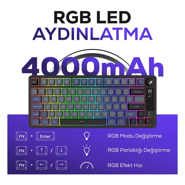 Hawk Gaming Hk255 Siyah-Gri RGB %75 Tkl Membrane Switch Kablolu/Kablosuz Oyuncu Klavyesi - Görsel 2