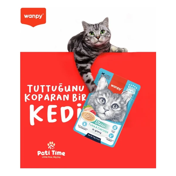 Wanpy Tavuklu Kedi Sıvı Ödül Maması 45 Adet X 14 Gram - Görsel 6