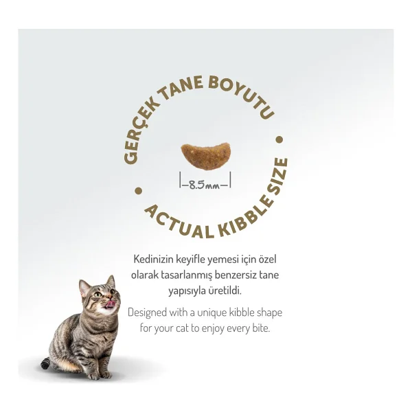 Felicia Kuzu Etli 2 Kg Yetişkin Kedi Maması - Görsel 9