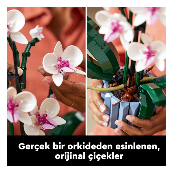 Lego 10311 Botanicals Orkide - Görsel 6