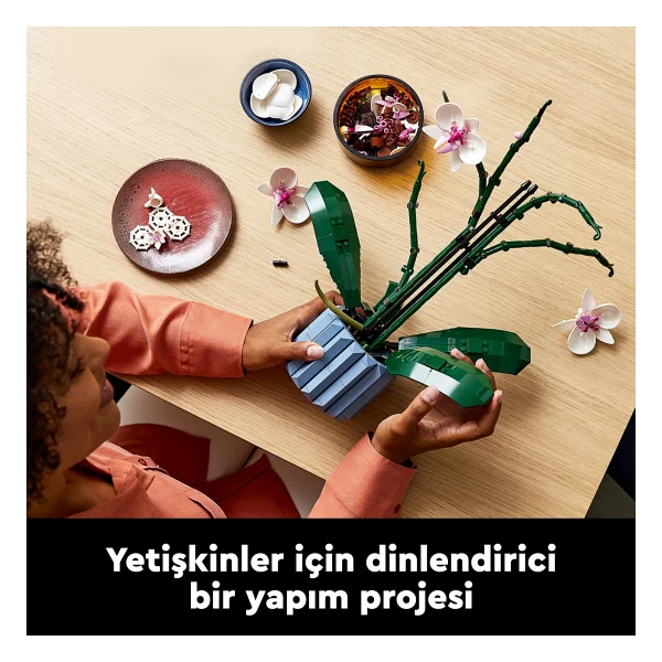 Lego 10311 Botanicals Orkide - Görsel 7