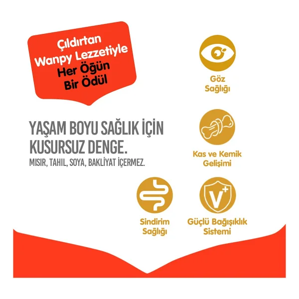 Wanpy Tavuklu 1.5 Kg Yavru Kedi Maması - Görsel 4