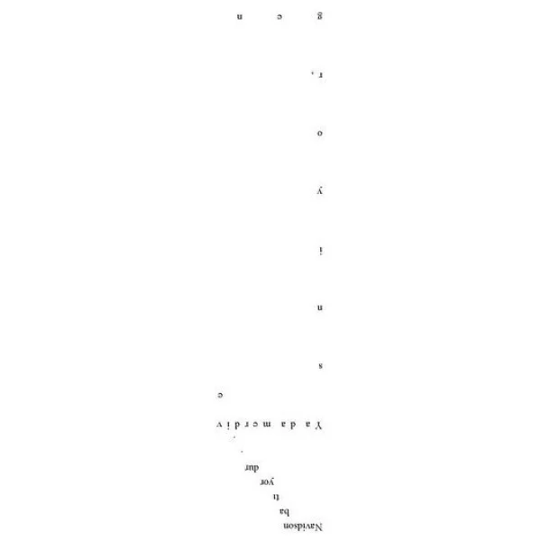 Yapraklar Evi - Mark Z. Danielewski - Görsel 3