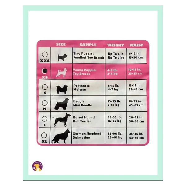 Hushpet Ultra Emici Köpek Külot Çiş Pedi XS Beden 12'li - Görsel 3