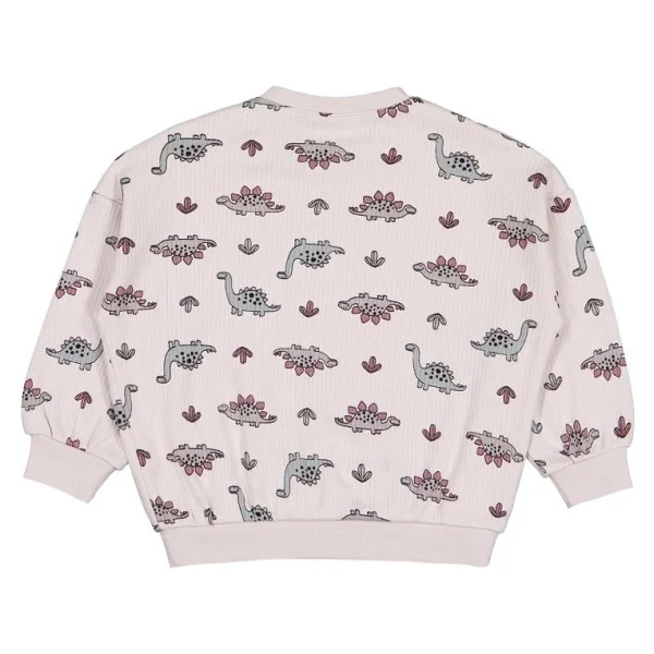 Civil Baby Adventurous Dino Empirme 6-18 Ay Sweatshirt - Bej 18-24 Ay - Görsel 4