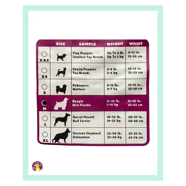 Hushpet Ultra Emici Köpek Külot Çiş Pedi M Beden 12'li - Görsel 3