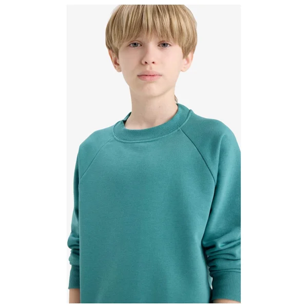 Defacto Erkek Çocuk Bisiklet Yaka Basic Düz Sweatshirt E8415a825au - Görsel 9