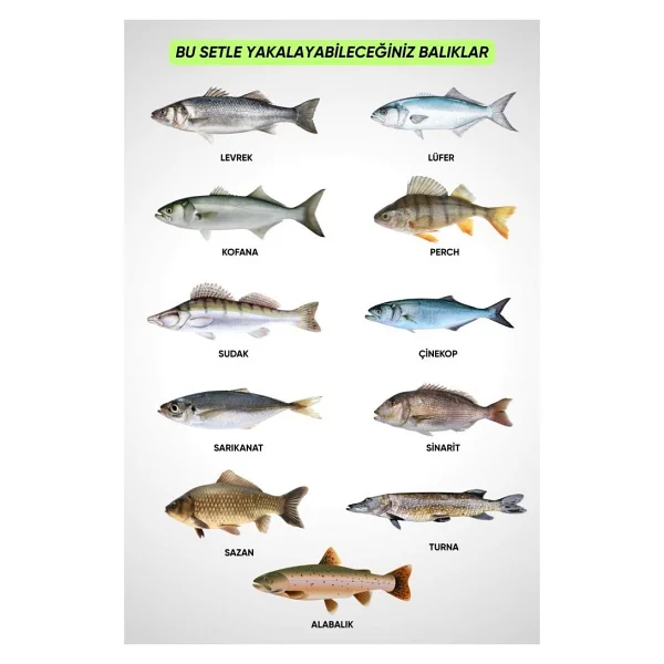 Fishack 35 Parça Tam Takım Olta Seti - 300cm Kamış 30-60gr / 40'lık Makine - Tüm Deniz Ve Göller Için - Tek Ebat - Çok Renkli - Görsel 3