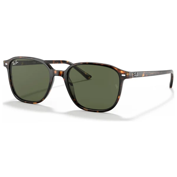 Ray-Ban Leonard 2193 902/31 Tortoise-Green Güneş Gözlüğü - Görsel 7
