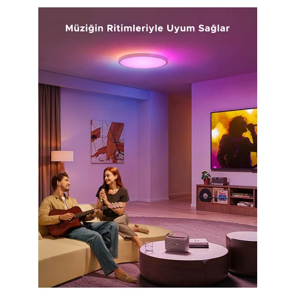 Govee Rgbww + Rgbıc Yuvarlak RGB Akıllı LED Armatür - Görsel 4
