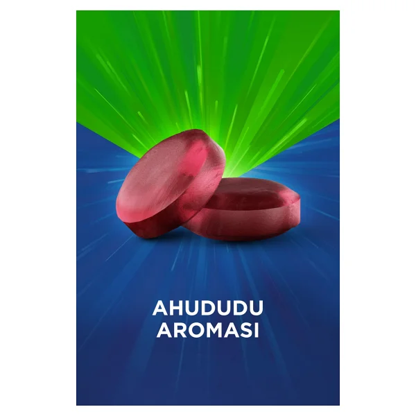 Theranatur Ahududu Aromalı 16'lı Pastil - Görsel 10