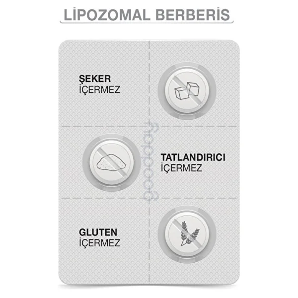 Goodday Lipozamal Berberis 60 Tablet - Görsel 5