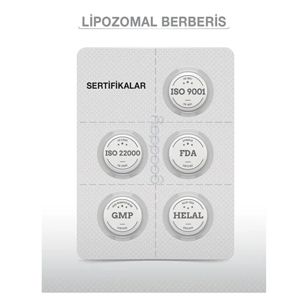 Goodday Lipozamal Berberis 60 Tablet - Görsel 6