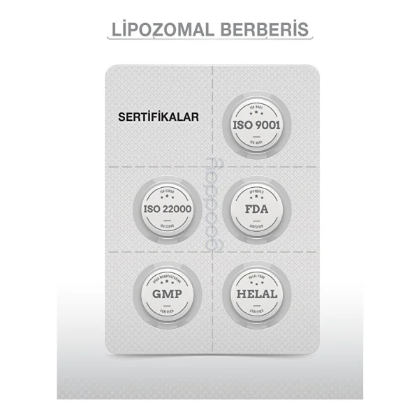 Goodday Lipozamal Berberis 60 Tablet - Görsel 7