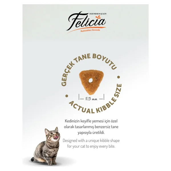 Felicia Kolajen Destekli Hipoalerjenik Somonlu Süper Premium Kedi Maması 5kg - 1 - Görsel 2