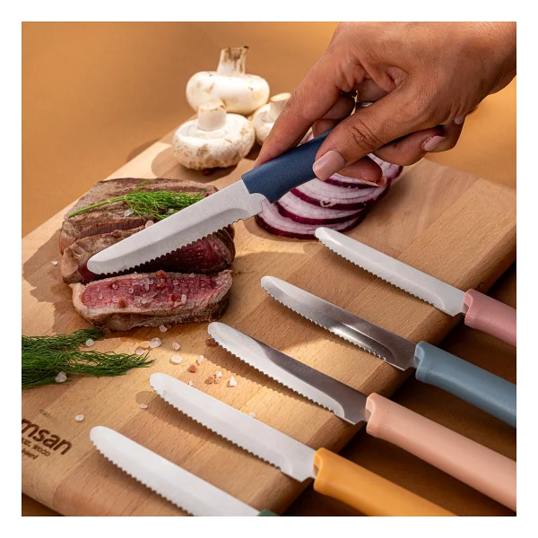 Emsan Rustik 6'lı Steak Bıçak Seti - Görsel 3