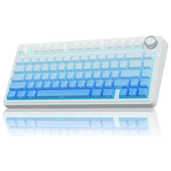 Aula F75 RGB %75 Tkl Seiya Switch Kablolu/Kablosuz Mekanik Oyuncu Klavyesi - Görsel 3