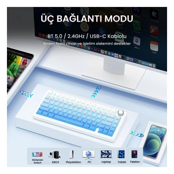 Aula F75 RGB %75 Tkl Seiya Switch Kablolu/Kablosuz Mekanik Oyuncu Klavyesi - Görsel 5