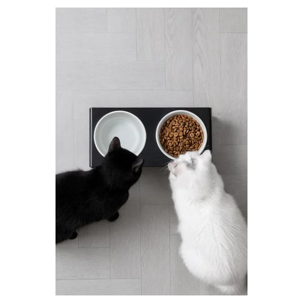 Gobypet 2'li Siyah Pleksi Kedi Ve Köpek Seramik Mama & Su Kabı Paspas Hediye - Görsel 6