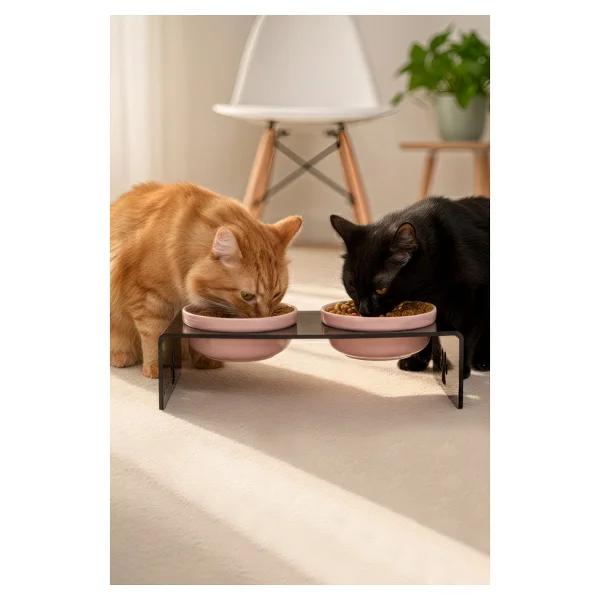 Gobypet 2'li Siyah Pleksi Kedi Ve Köpek Seramik Mama & Su Kabı Paspas Hediye - Görsel 9