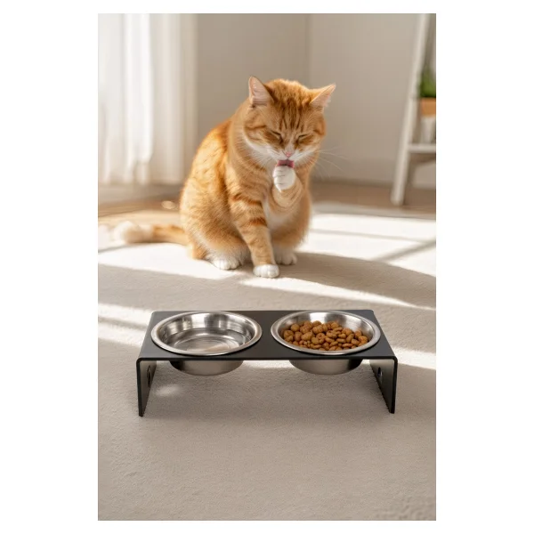 Gobypet 2'li Siyah Pleksi Kedi Ve Köpek Seramik Mama & Su Kabı Paspas Hediye - Görsel 10