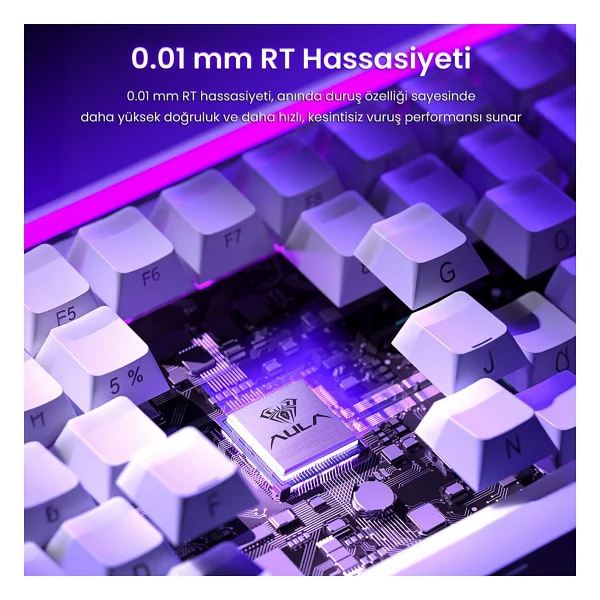 Aula Hero84 He RGB %75 Tkl Dragon King Switch Kablolu Mekanik Oyuncu Klavyesi - Görsel 3