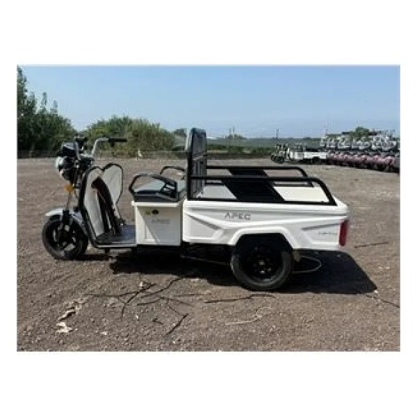 Apec Apt4 1000 W 3 Tekerlekli Elektrikli Motosiklet - Görsel 2