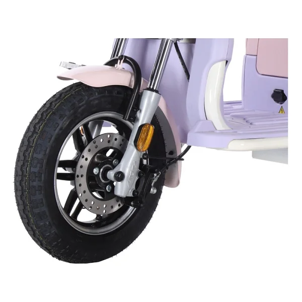 Arora Rüzgar New 900 W 3 Tekerlekli Elektrikli Motosiklet Yeşil - Görsel 6