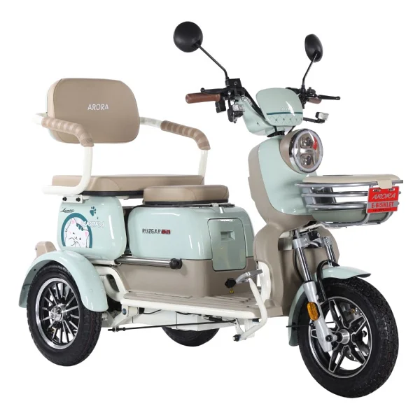 Arora Rüzgar New 900 W 3 Tekerlekli Elektrikli Motosiklet Yeşil - Görsel 4