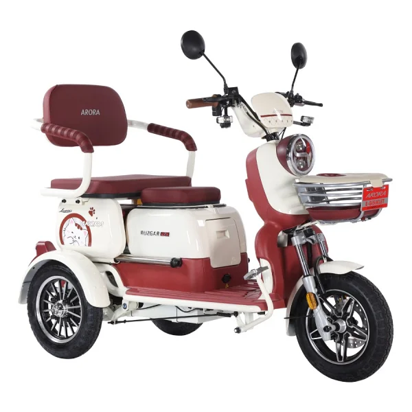 Arora Rüzgar New 900 W 3 Tekerlekli Elektrikli Motosiklet Yeşil - Görsel 5