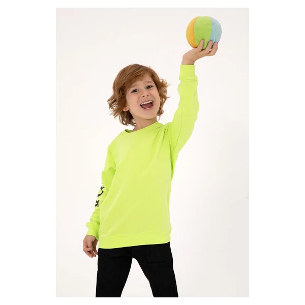 U.S. Polo Assn 50313831-Vr244 Sarı Çocuk Sweatshirt - Görsel 9