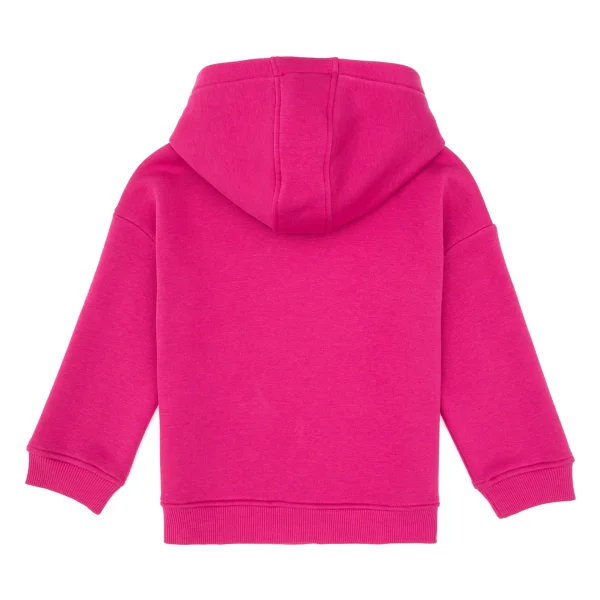 U.S. Polo Assn 50317890-Vr041 Kapüşonlu Pembe Çocuk Sweatshirt - Görsel 4