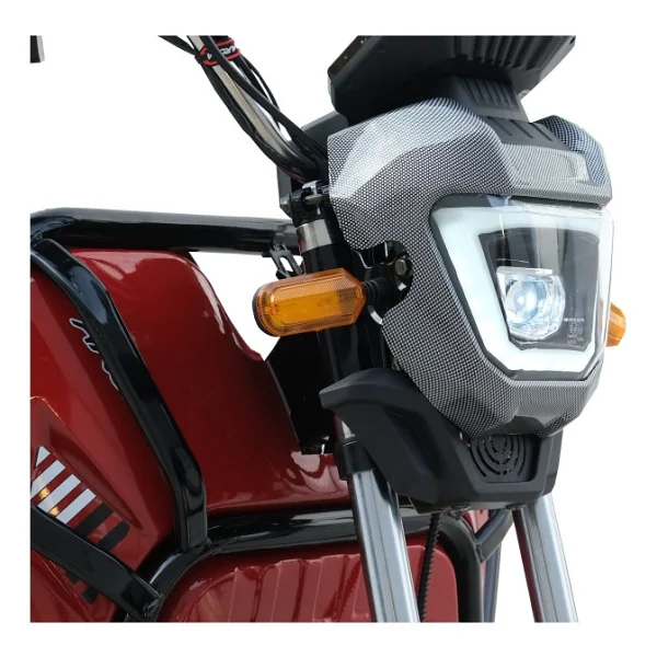 Arora Navara Xlt48a 1000 W 3 Tekerlekli Elektrikli Motosiklet - Görsel 6