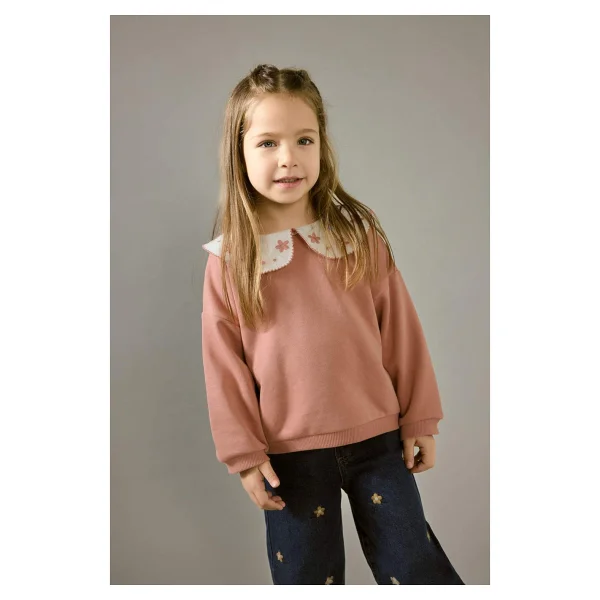 DeFacto Oversize Geniş Kalıp Büyük Yaka Çiçekli İçi Yumuşak Tüylü Sweatshirt Kız Bebek G6838A525CW - Pembe-PN10 - 9 - 12 Ay - Görsel 7