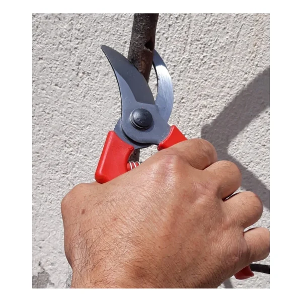 Depolife Bahçe Ağaç Dal Kesme Budama Bileme Seti Testere Makas Tırpan Taşı Takımı 3lü Set Takım - Görsel 5